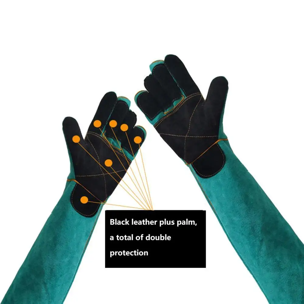 Haustier-Handschuhe, bissfeste – Cut Resistant Glove Bewertung und Preis
