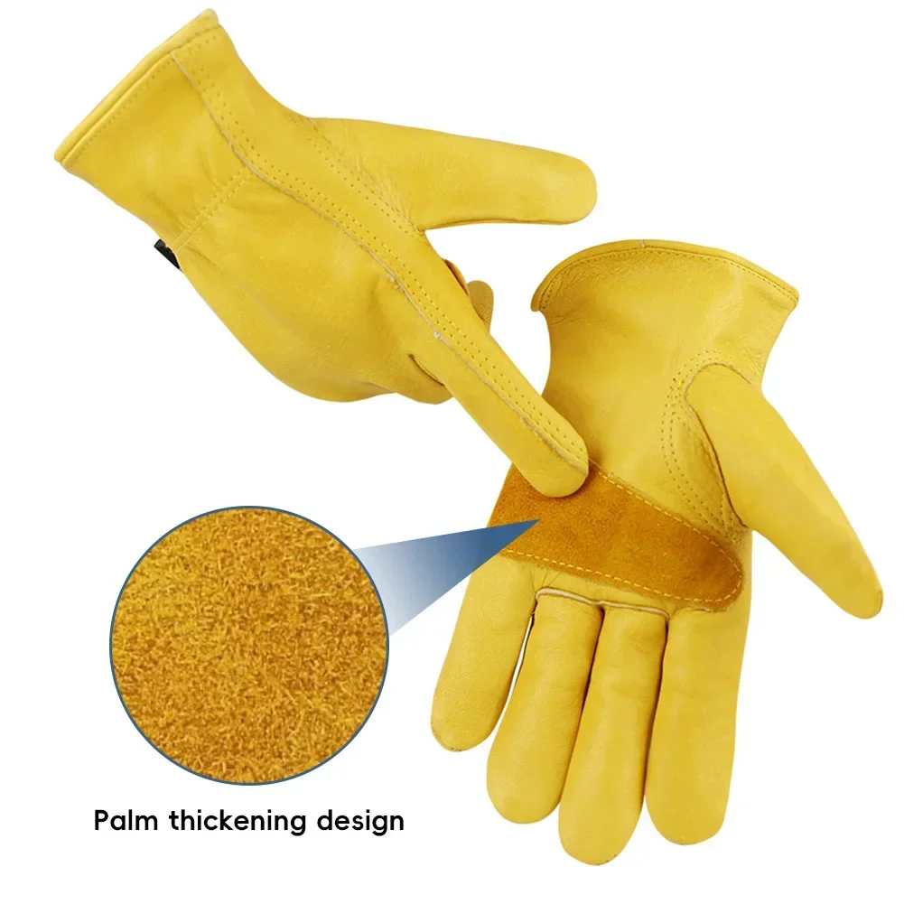Leder-Arbeitsschutzhandschuhe  – Leather Driving Glove Bewertung und Preis