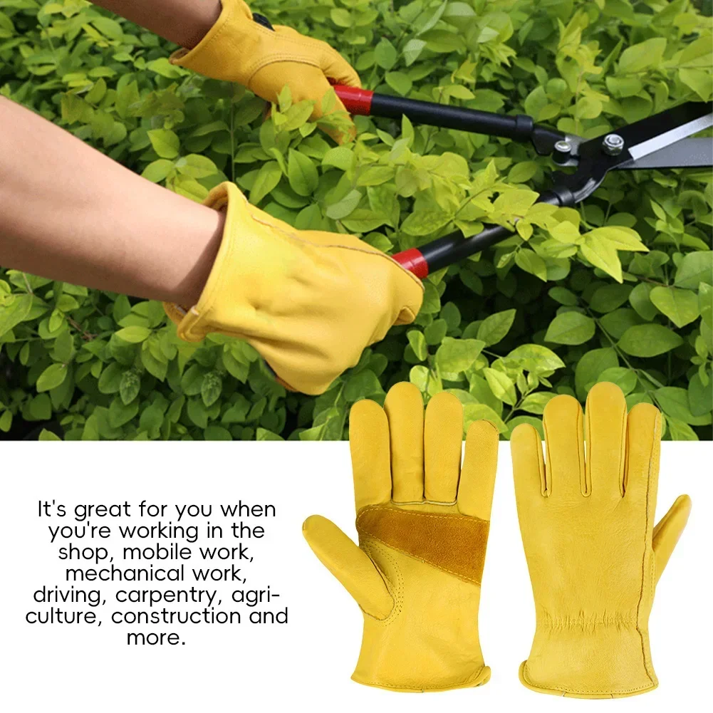 Leder-Arbeitsschutzhandschuhe  – Leather Driving Glove Bewertung und Preis