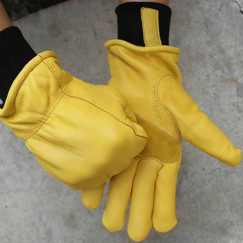 Herren-Motorrad-Winterhandschu – Winter Glove Insulated Bewertung und Preis
