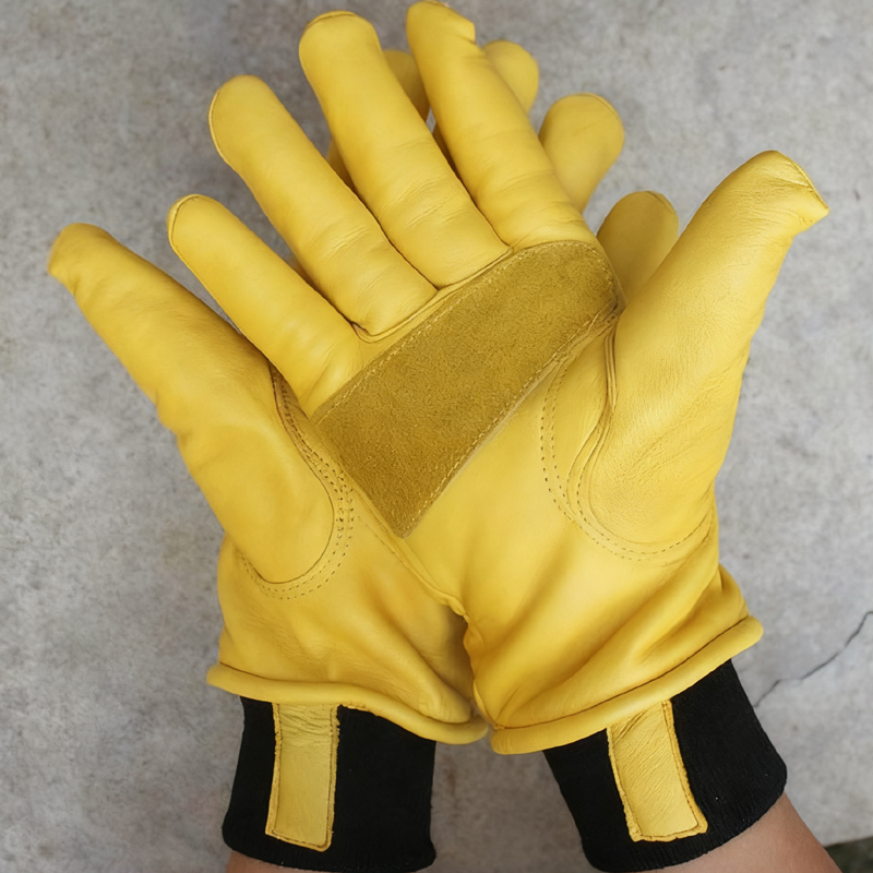 Herren-Motorrad-Winterhandschu – Winter Glove Insulated Bewertung und Preis