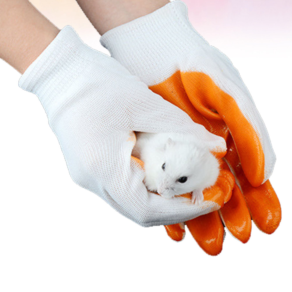 1 Paar Anti-Biss-Handschuhe fü – Cut Resistant Glove Bewertung und Preis